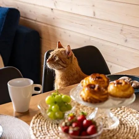 Elizjum شقة ساربينوفو