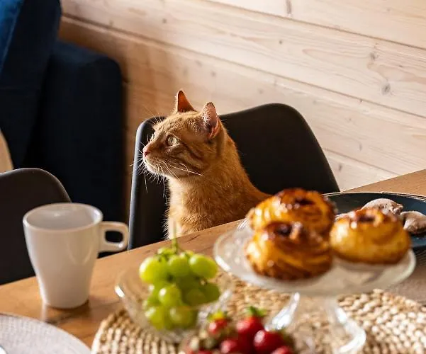 Elizjum Appartement Sarbinowo